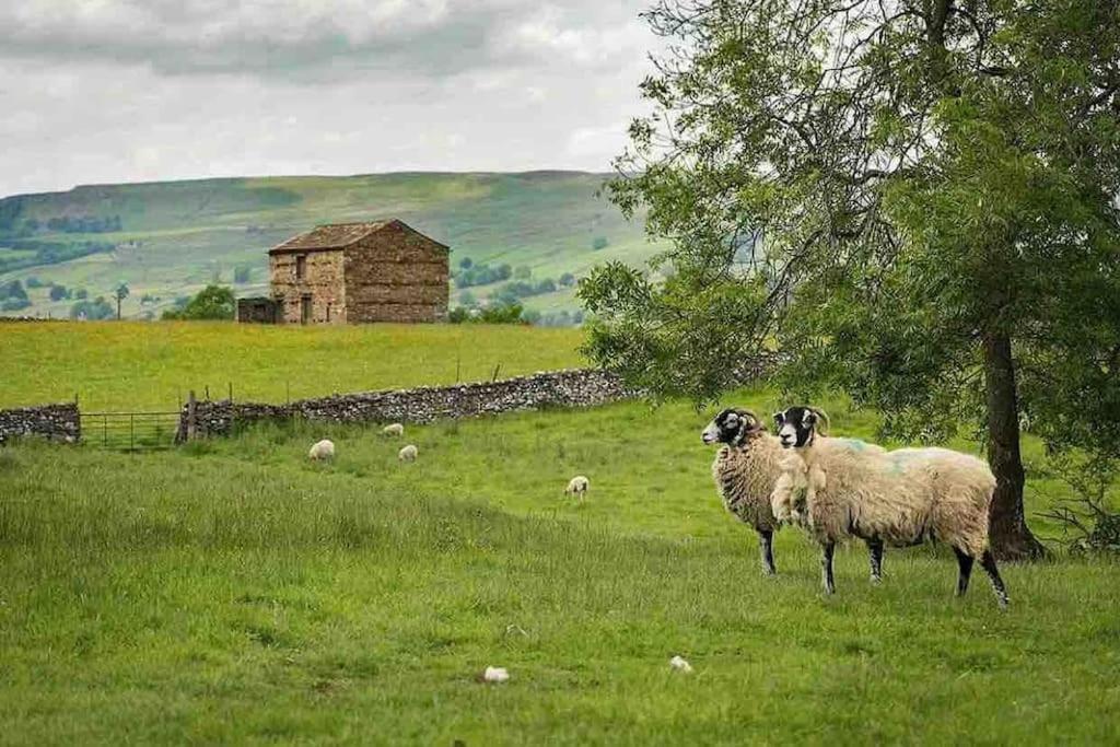 Westside Cottage, Newby, Clapham, Yorkshire Dales National Park, Famous Three Peaks, Near The Lake District, Pets Are Welcome Newby  Eksteriør billede